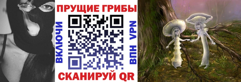 купить наркоту  Новосибирск  Галлюциногенные грибы мухоморы 
